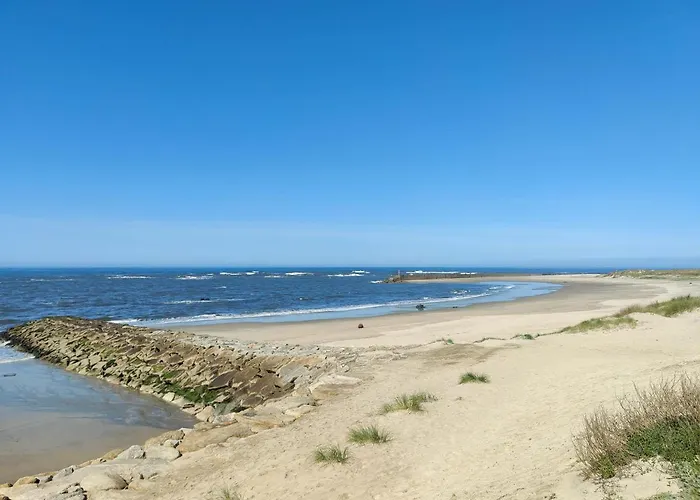 Pe No Mar - Sea View 아파트 *